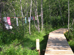 Flags on Trail